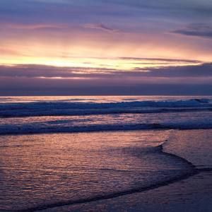 Meet your Posher, Leona